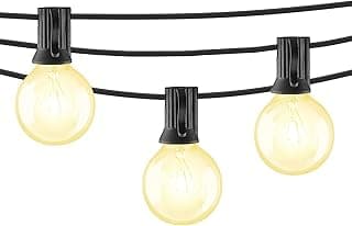 Beams 1W G40 Globe Bulb LED Weatherproof Indoor/Outdoor String Lights, 25 ft, Black