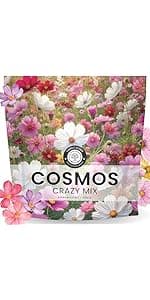 Perennial Species Mix - Large 1 Ounce Packet - 15,000 Flower Seeds for Planting - Wildflower Mix