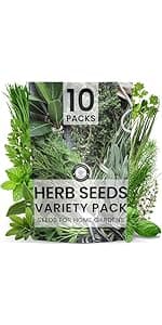35 Vegetable Seeds | Survival Variety Pack | 2025 Season | Individually Packed Vegetables, Herbs and Fruits | Emergency Seed Vault for Doomsday Prepping | by Family Sown