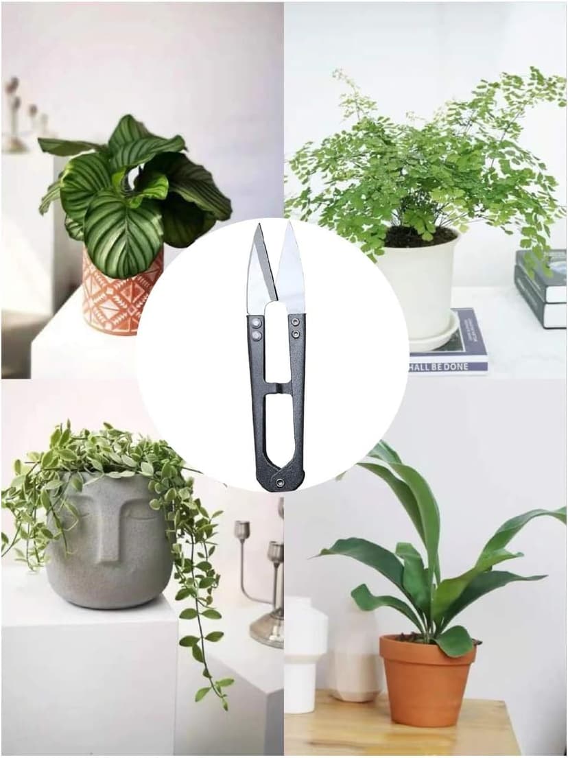 3 Pack 4.1Inch Bonsai Pruning Scissors, Bud And Leaves Trimmer Yarn Thread Cutter Snips Trimming Supplies, Garden Plants, Gardening Clippers Flower, Stainless Steel Pruners Trimmers