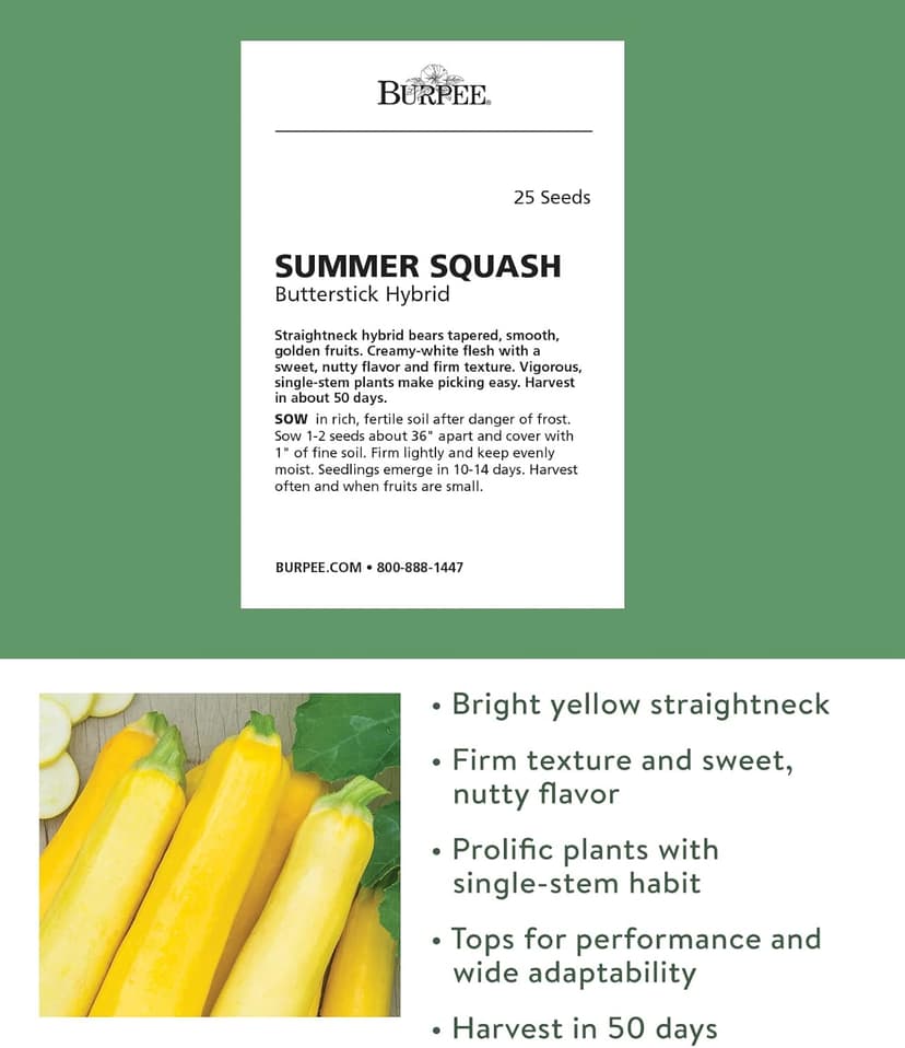 Burpee Butterstick Zucchini Summer Squash Seeds 25 seeds
