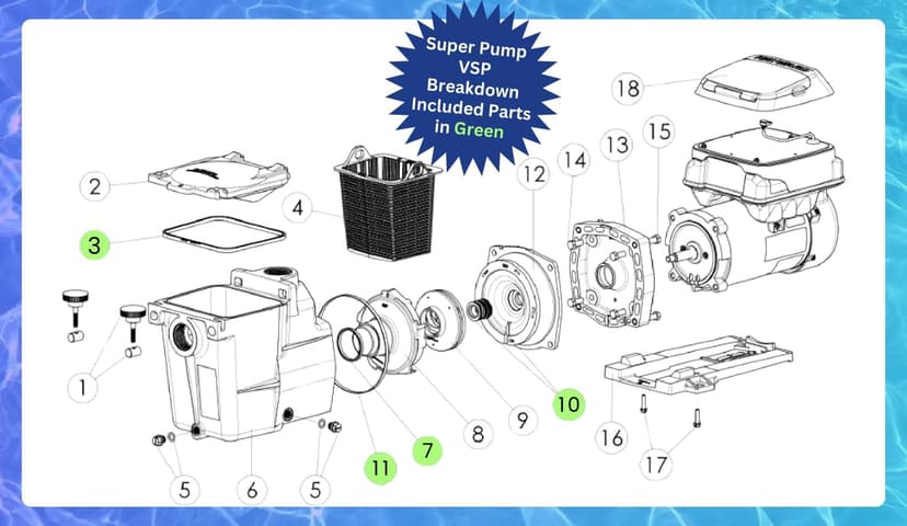 KitKing - SPX1600TRA Super Pump Seal Replacement for Hayward Go Kit 3. Fits SP1600, SP2600 in Regular, X, VSP Models. SPX1600TRA SP1600Z2 PS-201 SPX1600R SPX1600S SPX1600T Pool
