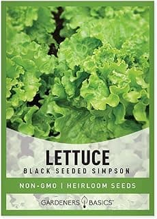 Gardeners Basics, Green Leaf Lettuce Seeds for Planting - (Black Seeded Simpson Variety) Heirloom, Non-GMO Lettuce Variety- 2 Grams Seed Great for Spring, Summer, Fall, Winter Garden and Hydroponics