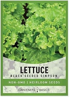 Gardeners Basics, Green Leaf Lettuce Seeds for Planting - (Black Seeded Simpson Variety) Heirloom, Non-GMO Lettuce Variety- 2 Grams Seed Great for Spring, Summer, Fall, Winter Garden and Hydroponics