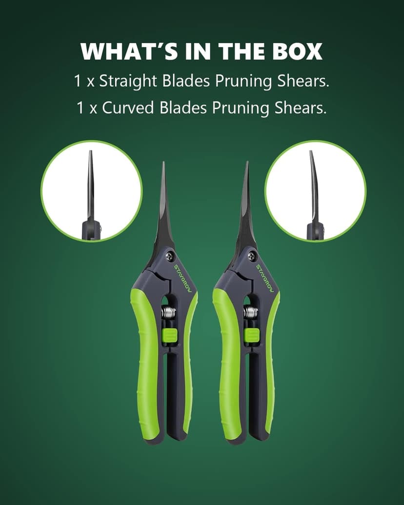 2pcs 6.5" Pruning Shears for Gardening, Ultra Sharp Garden Scissors for Precise Cuts, Stainless Steel Bonsai Clippers with Spring Loaded, 6.5 Inch Garden Shears (1pc Straight & 1pc Curved)