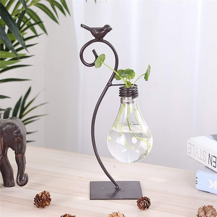 Healifty Plastic Planter Bulb Vase Hydroponics Plants Terrarium Flowerpot Decorative Pottery Planter for Any Occasion, Easy to Do and Fun to Grow