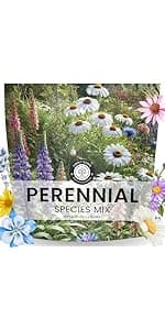 Perennial Species Mix - Large 1 Ounce Packet - 15,000 Flower Seeds for Planting - Wildflower Mix