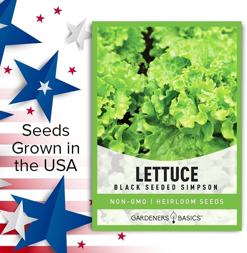 Gardeners Basics, Green Leaf Lettuce Seeds for Planting - (Black Seeded Simpson Variety) Heirloom, Non-GMO Lettuce Variety- 2 Grams Seed Great for Spring, Summer, Fall, Winter Garden and Hydroponics