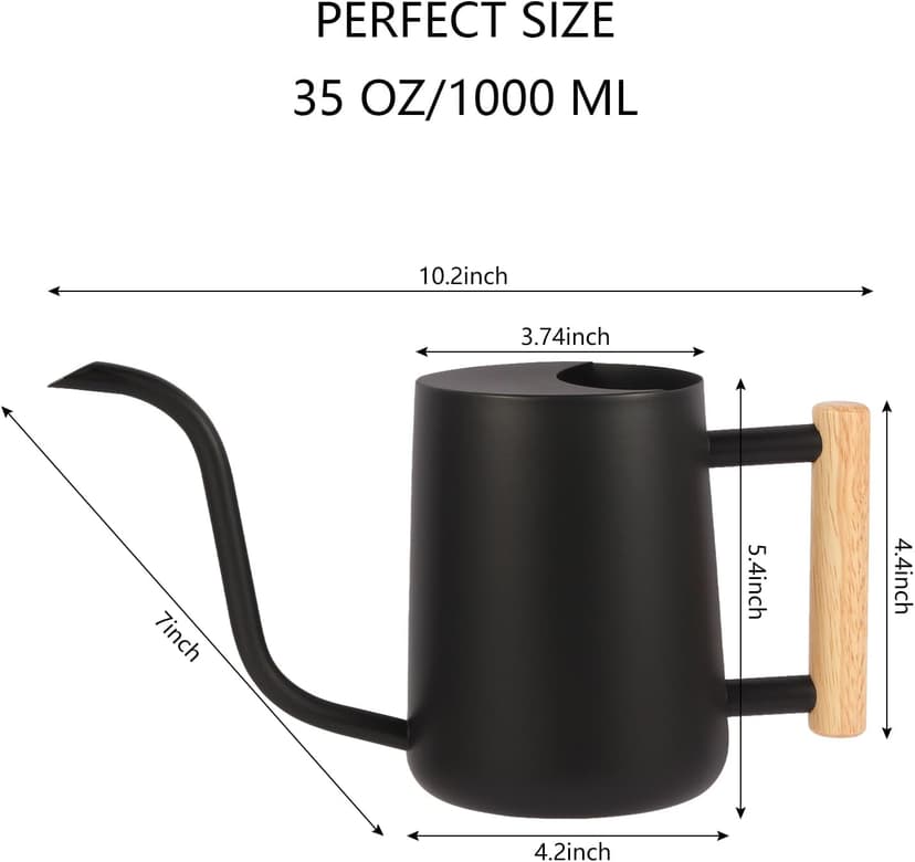 Plant Watering Can,35oz Metal Watering Can,Stainless Steel Watering Can Indoor Plants with Long Curved Spout,Small Watering Can for Indoor Plants,Bonsai Outdoor Garden Modern Decorative(Black)