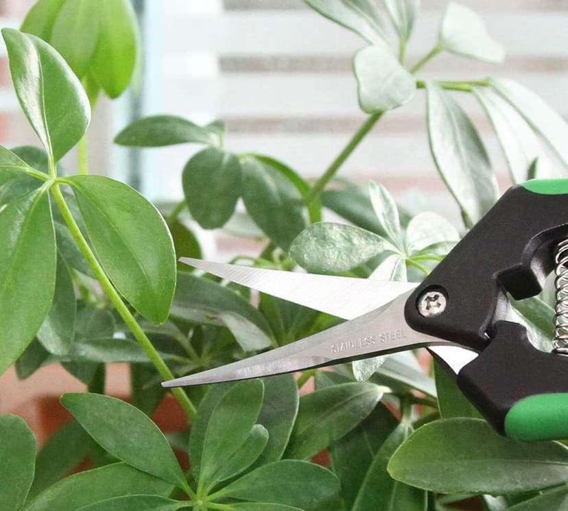 LDK 2Pack Straight Blade and Curved Blade Gardening Hand Pruner, Pruning Snip Pruning Shears, Garden Trimming Scissors with Stainless Steel Blades