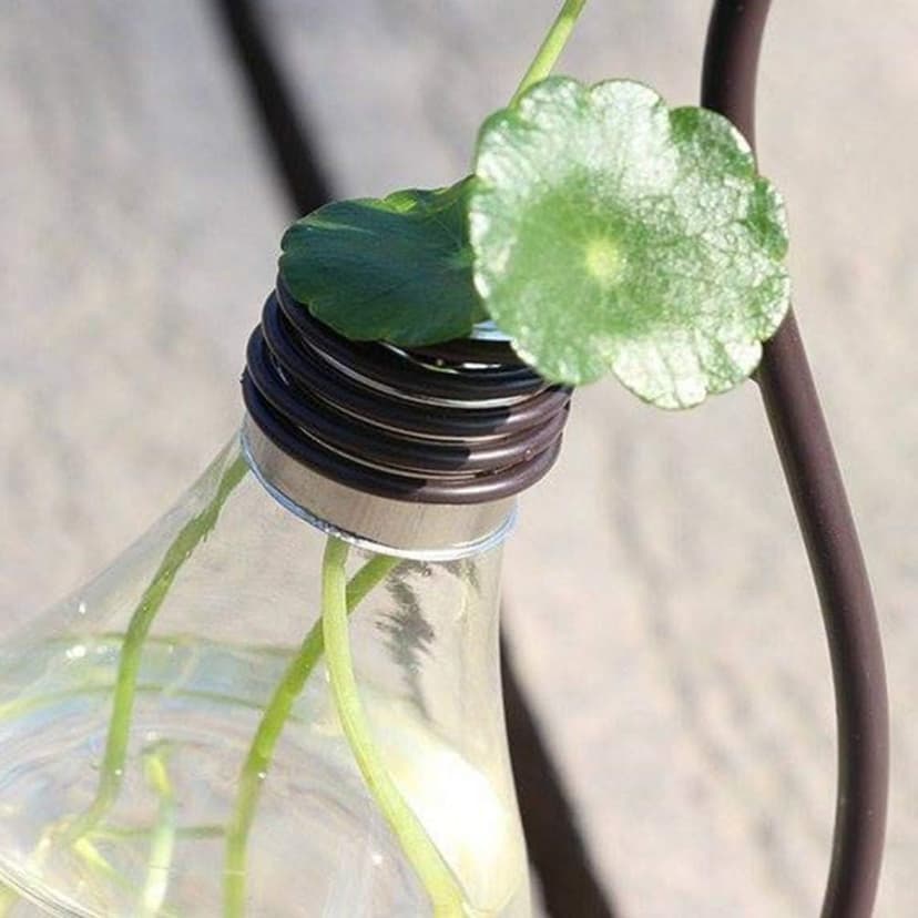 Healifty Plastic Planter Bulb Vase Hydroponics Plants Terrarium Flowerpot Decorative Pottery Planter for Any Occasion, Easy to Do and Fun to Grow