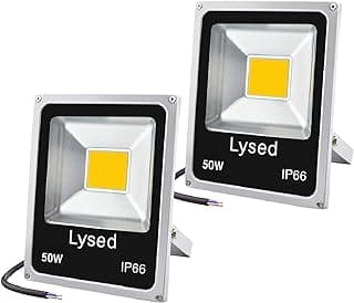 50W 12V LED Flood Light Warm White, DC 12V-60V Low Voltage Flood Lights Security Light for Garden, Wall, Super Bright Work Lights for Tree, Yard, Boat, House, IP66 Waterproof 2 Pack