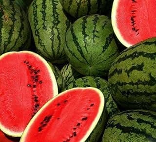 100 Jubilee Watermelon Seeds for Planting Heirloom Non GMO 10 Grams of Seeds Garden Vegetable Bulk Survival