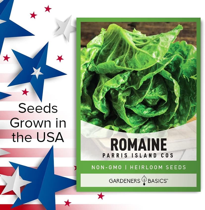 Gardeners Basics, Romaine Lettuce Seeds for Planting - Parris Island Cos Heirloom, Non-GMO Vegetable Variety- 2 Grams Seeds Great for Spring, Summer, Fall, Winter Garden and Hydroponics
