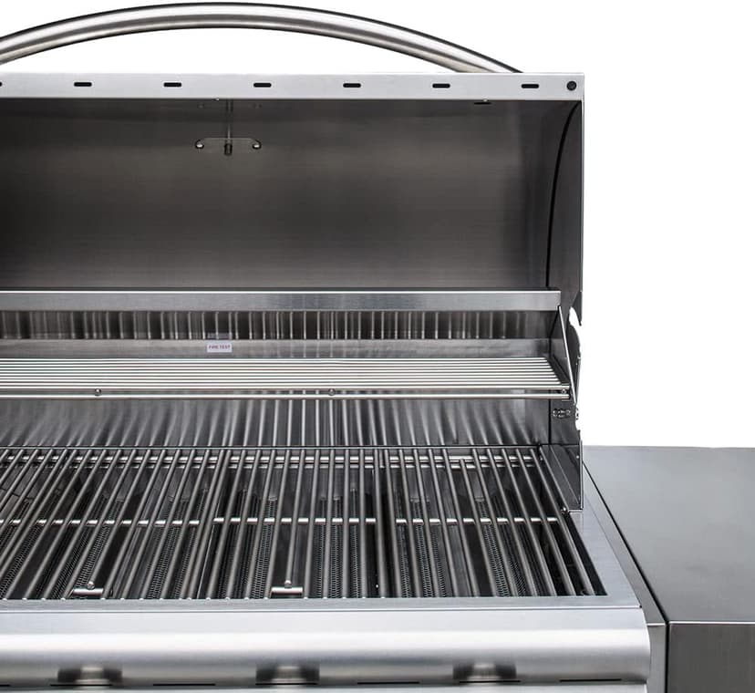 Blaze Prelude LBM 32-Inch 4-Burner Built-in Natural Gas Stainless Steel Grill with Flame-Stabilizing Grids, Heat Zone Separators, Drip Tray and Hood