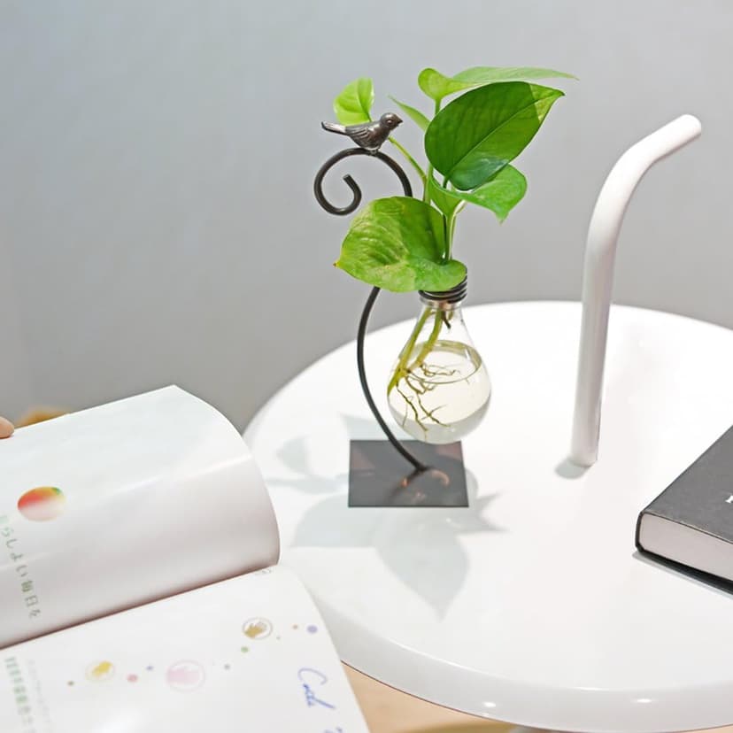 Marbrasse Desktop Glass Planter Hydroponics Vase,Planter Bulb Vase with Holder for Home Decoration,Modern Creative Bird Plant Terrarium Stand, for Plant Terrarium