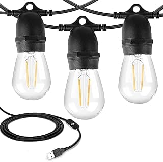 24.6Ft USB Powered Outdoor String Lights with 10 pcs Waterproof & Shatterproof S14 LED Bulbs, Lightweight Dimmable Garden Festoon String Lights for Camping BBQ Christmas Party