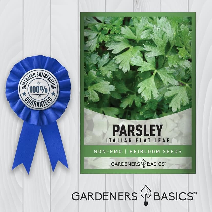 Gardeners Basics, Parsley Seeds for Planting, Italian Flat Leaf is A Heirloom, Open-Pollinated, Non-GMO Herb Variety- Great for Indoor and Outdoor Gardening and Herbal Tea Gardens