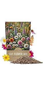 Cut Flower Garden Seeds - Bulk 1/4 Pound Bag - Over 30,000 Fresh Open Pollinated Non-GMO Wildflower Seeds - Long Lasting Annuals and Perennials with Bright Colors