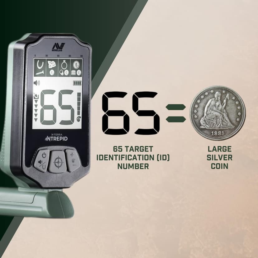 MINELAB X-Terra Intrepid, All-Terrain Professional Pinpointing Metal Detector for Adults with Waterproof Coil, 2 Detect Modes, and Clear Target IDs