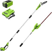 Greenworks 40V 8" Pole Saw + Pole Hedge, 2.0Ah Battery (Gen 1)