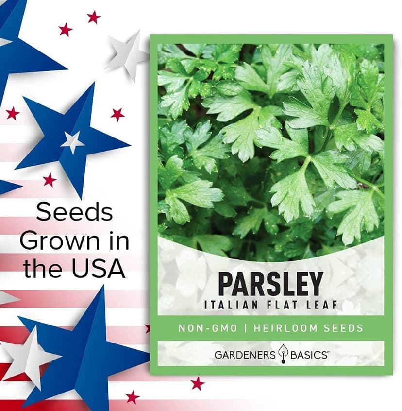 Gardeners Basics, Parsley Seeds for Planting, Italian Flat Leaf is A Heirloom, Open-Pollinated, Non-GMO Herb Variety- Great for Indoor and Outdoor Gardening and Herbal Tea Gardens