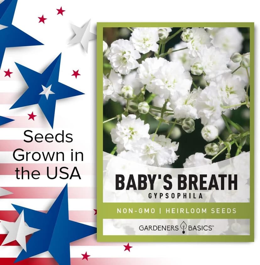 Gardeners Basics, Baby's Breath Seeds for Planting Gpsophila - Beautiful Annual Cut Flower for Flower Arrangements and Beautiful in Flower Beds in Summer Gardens Too