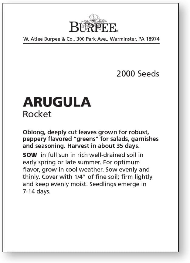 Burpee Rocket Arugula Seeds 2000 seeds