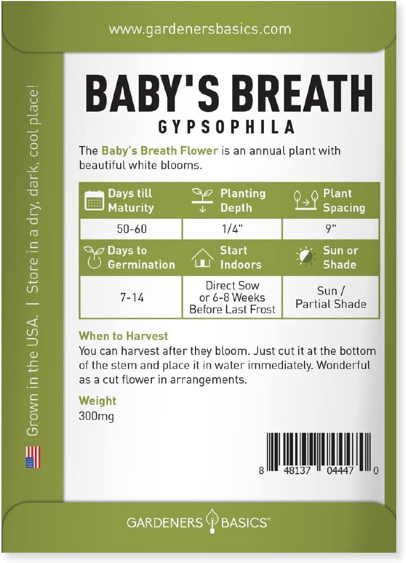 Gardeners Basics, Baby's Breath Seeds for Planting Gpsophila - Beautiful Annual Cut Flower for Flower Arrangements and Beautiful in Flower Beds in Summer Gardens Too