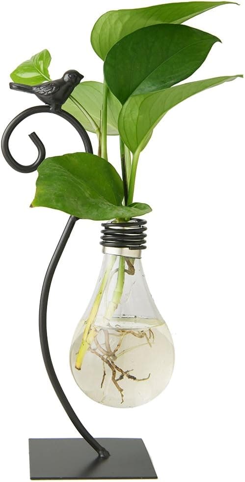 Marbrasse Desktop Glass Planter Hydroponics Vase,Planter Bulb Vase with Holder for Home Decoration,Modern Creative Bird Plant Terrarium Stand, for Plant Terrarium