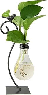 Marbrasse Desktop Glass Planter Hydroponics Vase,Planter Bulb Vase with Holder for Home Decoration,Modern Creative Bird Plant Terrarium Stand, for Plant Terrarium