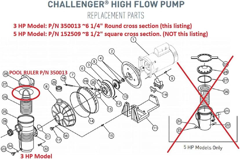 350013 Pentair Pump Lid O-Ring 2 Pack + Lubricant - IntelliFlo, WhisperFlo, more