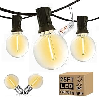Abeja Outdoor String Lights, 25Ft G40 Globe LED Patio Lights with 27 Edison Plastic Bulbs(2 Spare), Hanging Patio String Lights for Backyard Porch Balcony Party Decor, E12 Socket Base, Black