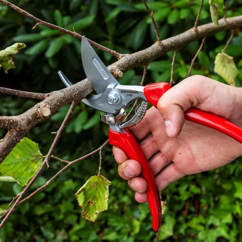 Professional Pruning Shear, Chrome-Coated Straight Blade, Forged Steel Body, Sap Groove to Prevent Sticking, Wire Cutting Notch, 1760