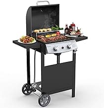 Cowsar 2 Burner BBQ Propane Gas Grill, Stainless Steel 20000 BTU, Equipped with Sides Burner and 4 Wheels for Easy Mobility, Ideal for Outdoor Kitchens and Backyard Patio Barbecues