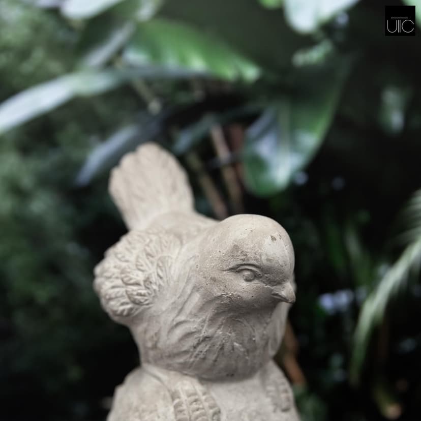 Bird Statues for Outdoor, Small Decorative Cement Bird Sculpture for Lawn, Patio Yard Lawn Figurine Decorative Ornament Home Decor Items: 4.50"x3.75"x7.50"H