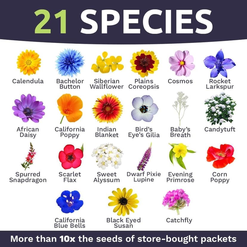 Wildflower Seeds Annual Quick Blooming Mix - Large 1 Ounce Packet Over 7,500 Open Pollinated Seeds