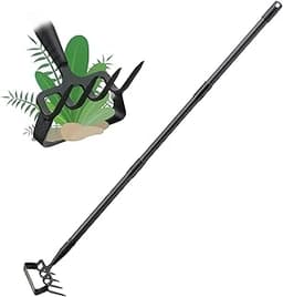 The 12 best loop hoe weeding tools of 2025