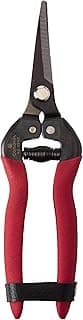 The 11 best lightweight garden snips of 2025