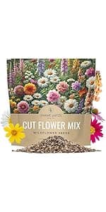 Cut Flower Garden Seeds - Bulk 1/4 Pound Bag - Over 30,000 Fresh Open Pollinated Non-GMO Wildflower Seeds - Long Lasting Annuals and Perennials with Bright Colors
