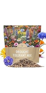 Drought Tolerant Wildflowers Mix – Extra Large Packet – Over 7,500 Open Pollinated Non-GMO Seeds – 21 Different Dryland Species