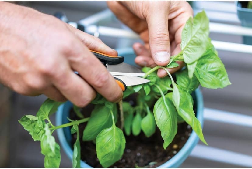 Fiskars Herb Garden Herb Scissors, 5-Inch Garden Shears, Handheld Herb Snips with Sheath and SoftGrip Handle, Dishwasher Safe
