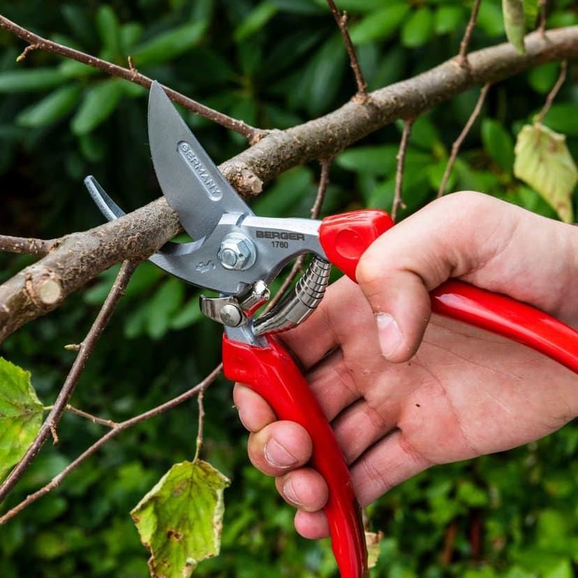 Professional Pruning Shear, Chrome-Coated Straight Blade, Forged Steel Body, Sap Groove to Prevent Sticking, Wire Cutting Notch, 1760