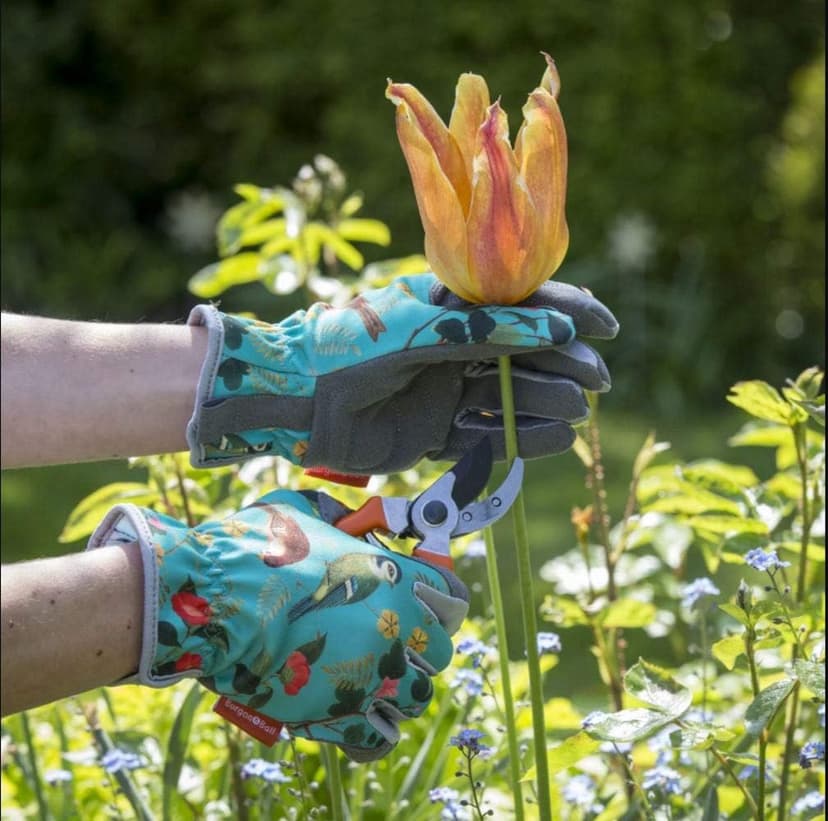 Burgon & Ball Flora & Fauna Design Flexible and Durable Ladies Premium Gardening Pruning Gloves one size fits all