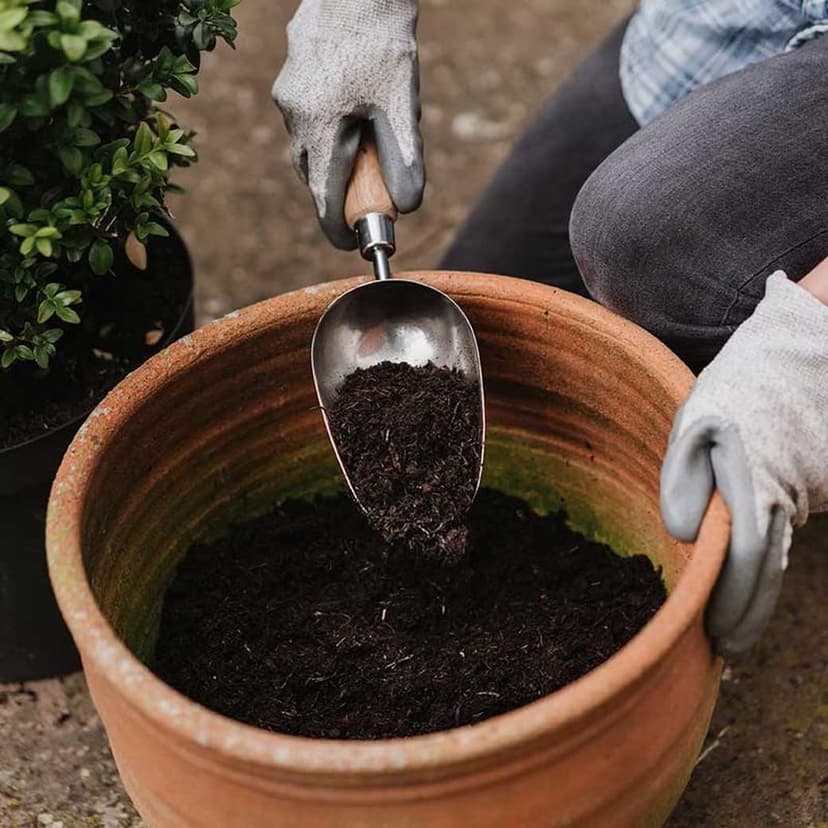Stainless Steel Hand Potting Scoop, Compact Garden Scoop for Compost and Soil, Classic All Year Round Garden Tools Made from Stainless Steel and Ash Wood
