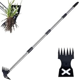 The 12 best weeding tools for gardens of 2025