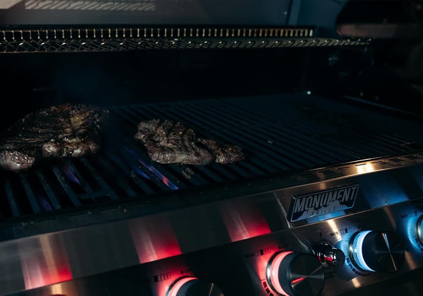 Monument Grills 6-Burner Convertible Natural Gas Smart bbq Grill Stainless Steel Denali 605 with BBQ Cover