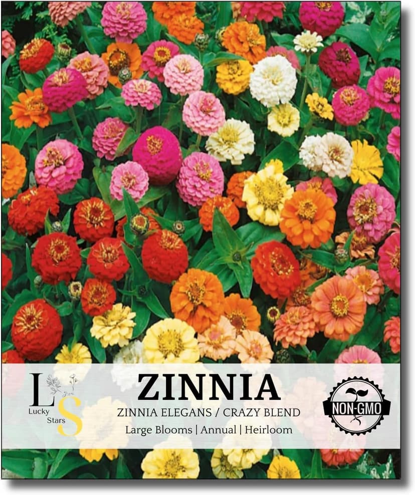 1200+ Crazy Blend Zinnia Seeds for Planting, Heat & Drought Tolerant, Zinnia Elegans Lilliput Seeds, Garden Cut Flower Mix, Non GMO, Untreated Mixed Color Zinnia Flowers
