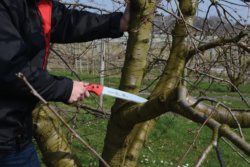 FELCO Pruning Saw (F 611) - Classic Tree Pull Stroke Pruner Saw w/ Carrying Sheath