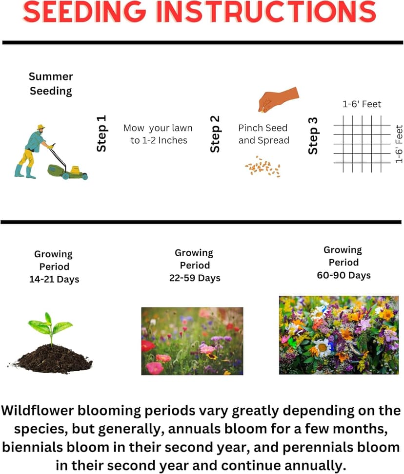 Shade Wildflower Mix (Seed Packet) - Shade, Perennial, Deer-Resistant, Hummmingbird, Midwest and Others Create a Colorful Garden That Enhances Your Outdoor Space with Natural Beauty!